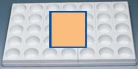 Форма MONOР С005